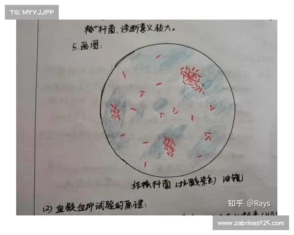弗拉格技术短板暴露 投射稳定性问题或成未来隐患 弗拉格技术短板暴露 投射稳定性问题或成未来隐患